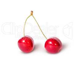Two red juicy sweet cherries sloping