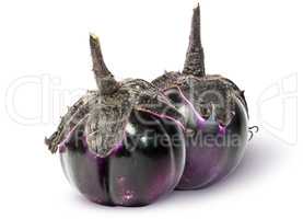 Two ripe round eggplant vertically