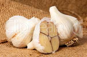 Two whole and half head of garlic