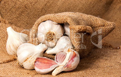 Whole garlic and cloves of garlic in a bag