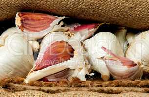 Whole garlic and cloves of garlic in a sack