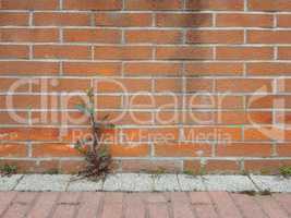 red brick wall background with copy space