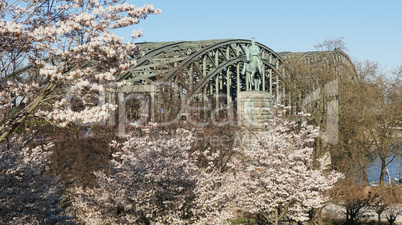 Hohenzollernbrücke im Frühling, Köln, Deutschland