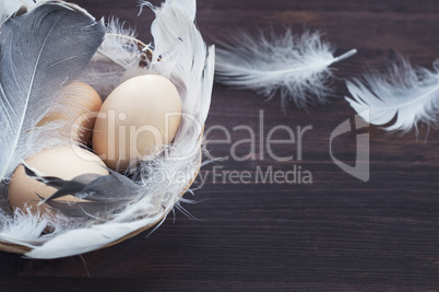Three chicken eggs in a basket with feathers