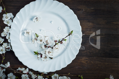 Ceramic white plate on a brown surface