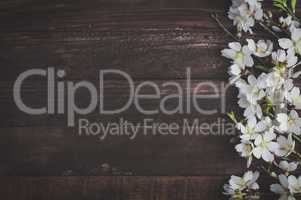 Flowering almond branches on a brown wooden surface