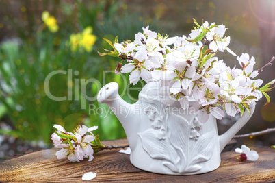 Branches of flowering almonds in a ceramic vase in the sun on a