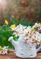 branch of blossoming minal in a white vase