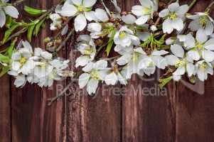 Flowering almond branches on a brown wooden surface