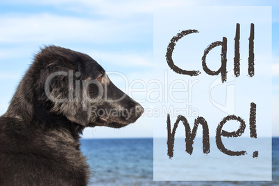 Dog At Ocean, Text Call Me