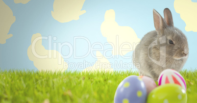 Easter rabbit with eggs in front of pattern