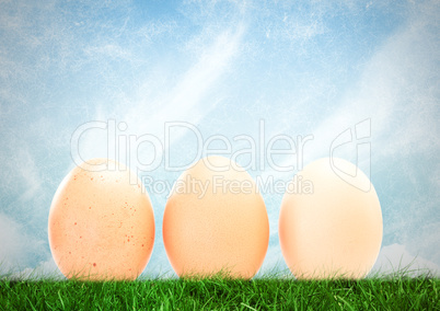 Eggs in front of blue sky