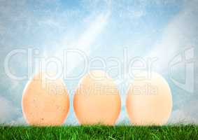 Eggs in front of blue sky