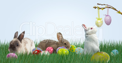 Rabbits and Easter eggs in the mountain