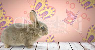 Easter rabbit in front of pattern