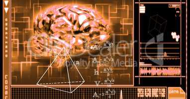 3d image of brain and equations