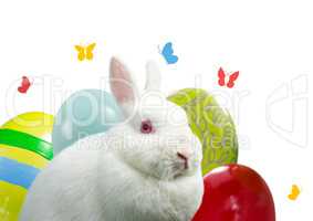 Rabbit with eggs and butterfly. Happy Easter.