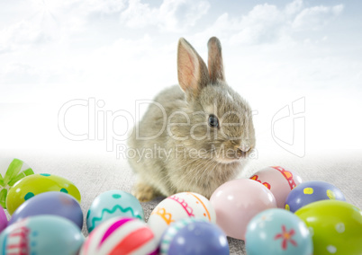 Easter rabbit with eggs in front of cloudy sky