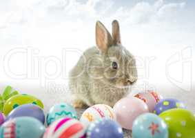 Easter rabbit with eggs in front of cloudy sky