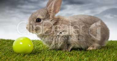 Easter rabbit with egg ball in front of cloudy sky