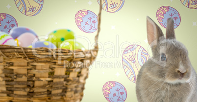 Easter Rabbit with eggs basket in front of pattern
