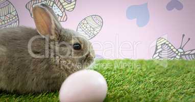 Easter rabbit with egg in front of pattern