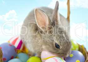 Easter rabbit on eggs in front of blue sky