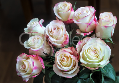 Bouquet of beautiful roses on a dark background.