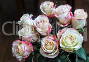 Bouquet of beautiful roses on a dark background.