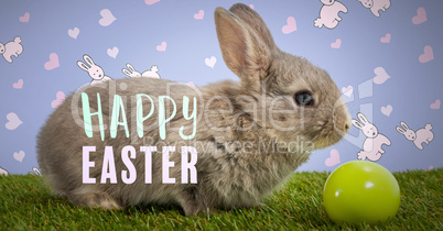 Happy Easter text with Easter rabbit with egg in front of pattern