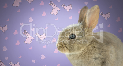 Easter Rabbit against wall with rabbit pattern