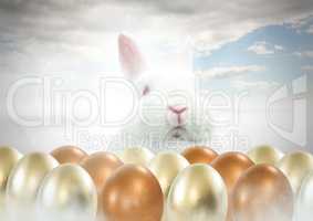 Easter rabbit with gold eggs in front of blue sky