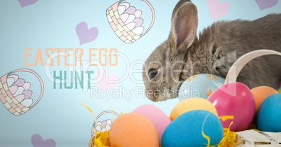 Easter Egg Hunt text with Easter rabbit with eggs in front of pattern