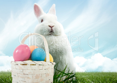 Easter rabbit with basket of eggs in front of blue sky