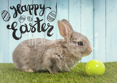 Easter graphic over rabbit on grass with egg against blue wood panel