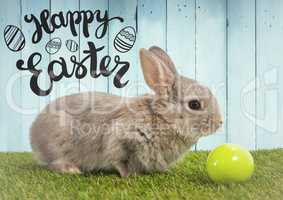 Easter graphic over rabbit on grass with egg against blue wood panel