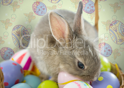 Easter rabbit on eggs in front of pattern