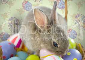 Easter rabbit on eggs in front of pattern