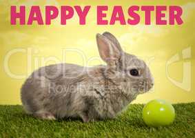 Pink type over rabbit on grass with green egg against yellow sky