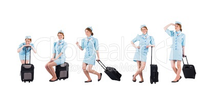 funy stewardess collection