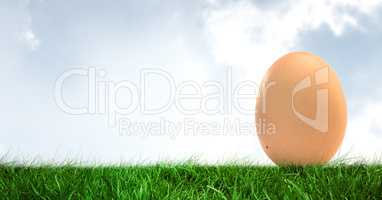 Egg in front of blue sky