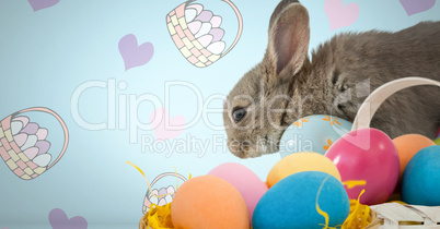 Easter rabbit with eggs in front of pattern