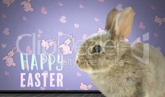 Happy Easter text with Easter Rabbit against wall with rabbit pattern