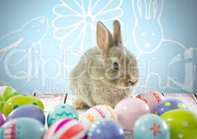 Easter rabbit with eggs in front of pattern