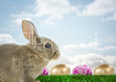 Easter rabbit with eggs in front of blue sky