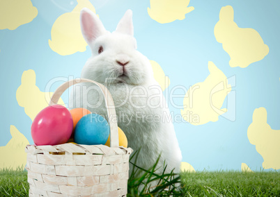 Easter rabbit with basket in front of pattern