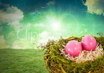 Easter eggs in nest in front of Magical sky
