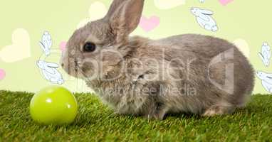 Easter rabbit with egg in front of pattern