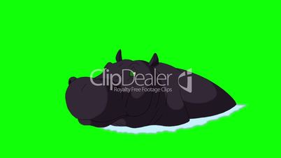 Black Big Hippo Open Mouth.