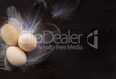 Three raw chicken yellow eggs among feathers